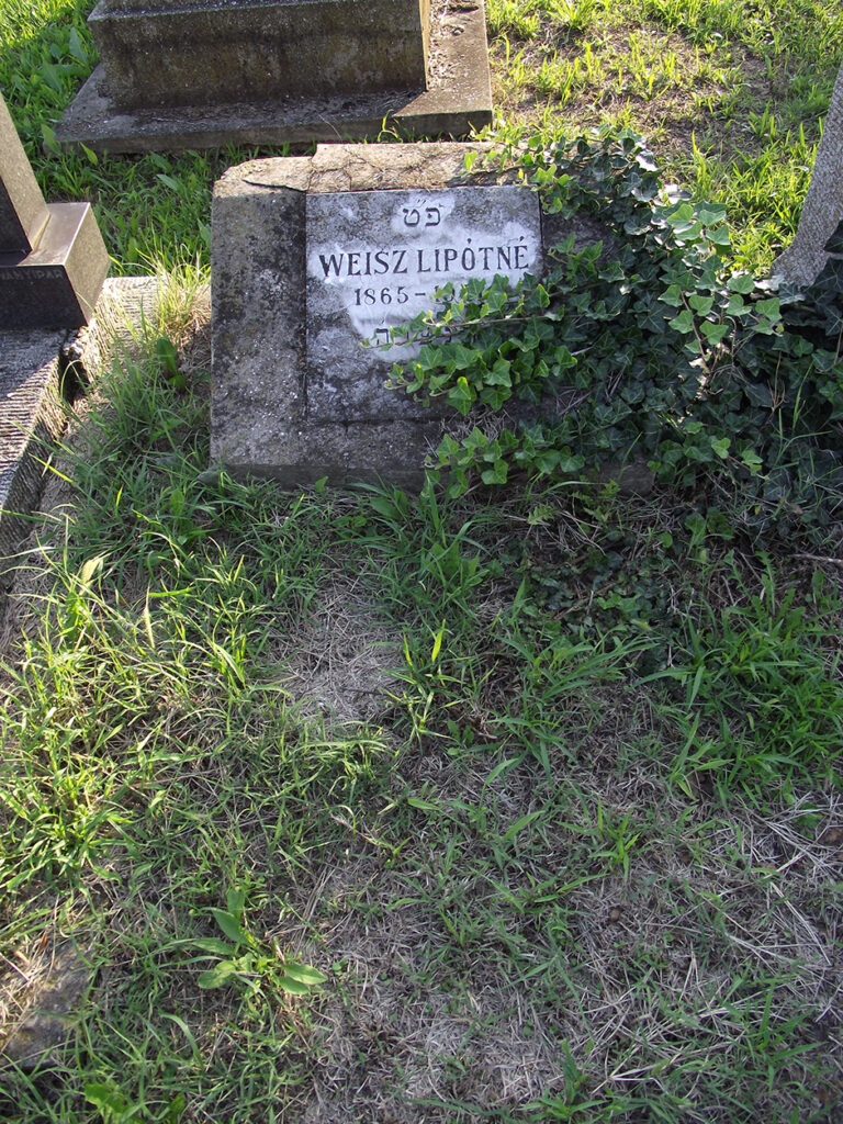 532_(8-27-2015 18-16-50)(940x1253)